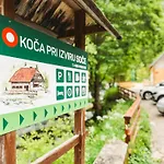 Koca Ob Izviru Soce Trenta
