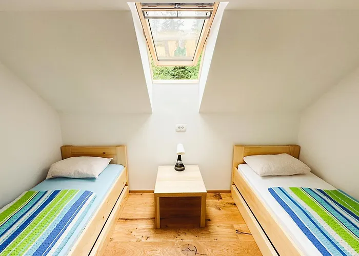 Koca Ob Izviru Soce Trenta