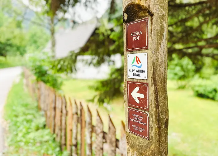 Koca Ob Izviru Soce *