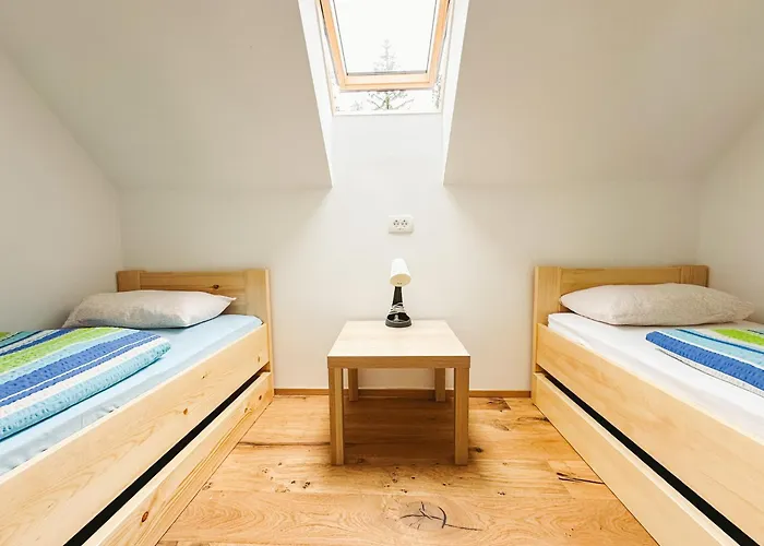 Koca Ob Izviru Soce * Trenta